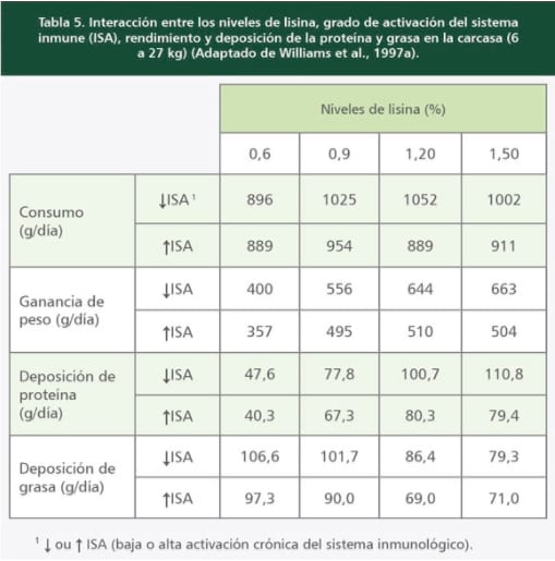 Limitaciones para la eficiencia en el uso de aminoácidos para el crecimiento y Sistema Inmune Porcino (II) - Image 4