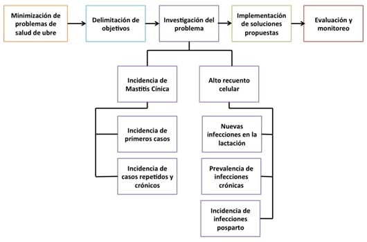 Puntos Clave en la Elaboración de Programas de Control de Mastitis en Explotaciones Lecheras. Estudio de Revisión. - Image 2