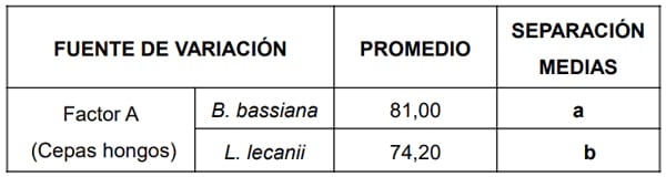 Determinacion de la dosis de los hongos entomopatógenos (beauveria bassiana y lecanicillium lecanii) para el control de garrapata, en ganado vacuno in vitro e in vivo - Image 7