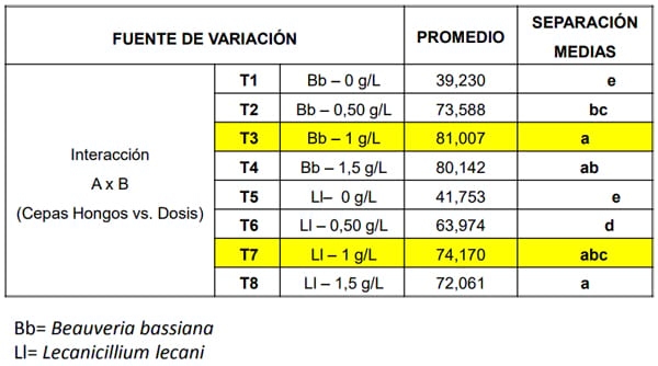 Determinacion de la dosis de los hongos entomopatógenos (beauveria bassiana y lecanicillium lecanii) para el control de garrapata, en ganado vacuno in vitro e in vivo - Image 9