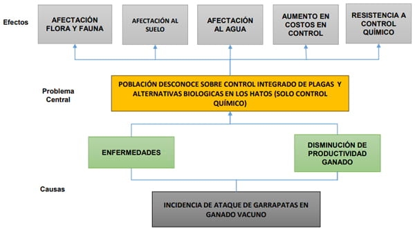 Determinacion de la dosis de los hongos entomopatógenos (beauveria bassiana y lecanicillium lecanii) para el control de garrapata, en ganado vacuno in vitro e in vivo - Image 2