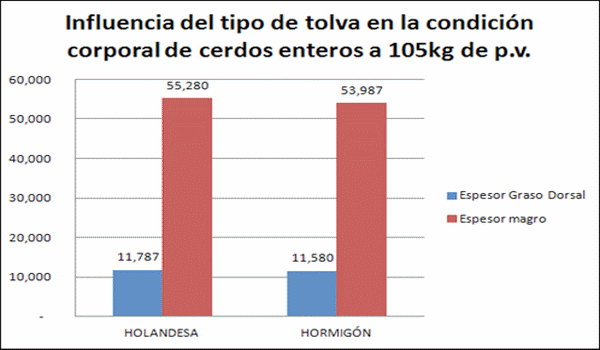 Instalaciones en cebo, clave en la eficiencia productiva en ganado porcino - Image 12