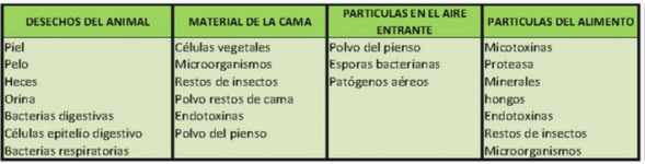 Instalaciones en cebo, clave en la eficiencia productiva en ganado porcino - Image 7