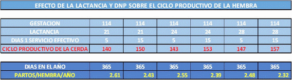 Días no productivos (DNP) un costo de oportunidad - Image 1
