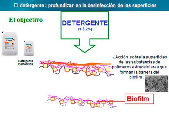 El Paradigma de la Bioseguridad - Image 3