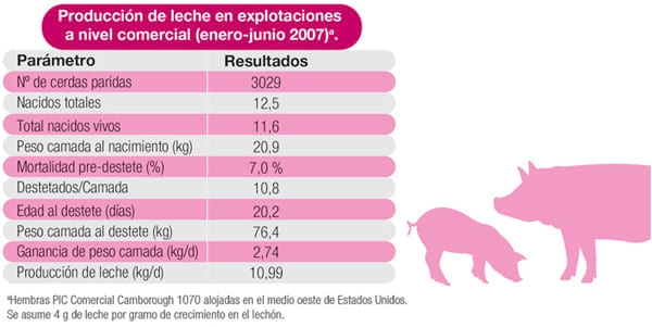 El arte de alimentar desde el inicio - Image 1