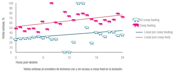 El arte de alimentar desde el inicio - Image 6