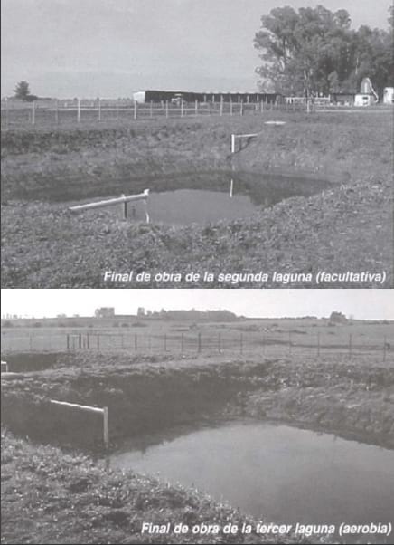 Alternativas en Manejo de Purines y Efluentes en Tambos - Image 7
