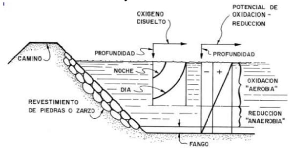 Alternativas en Manejo de Purines y Efluentes en Tambos - Image 9