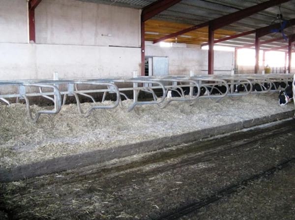Alternativas en Manejo de Purines y Efluentes en Tambos - Image 31