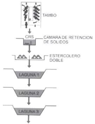 Alternativas en Manejo de Purines y Efluentes en Tambos - Image 6