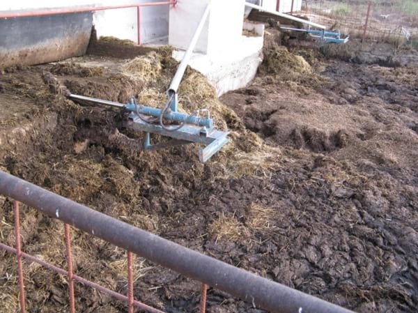 Alternativas en Manejo de Purines y Efluentes en Tambos - Image 33