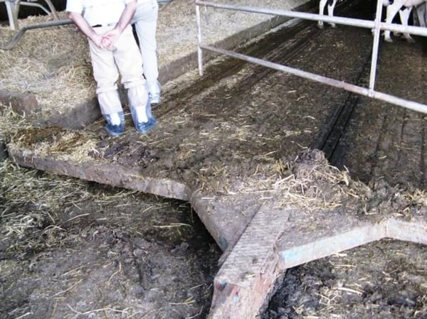 Alternativas en Manejo de Purines y Efluentes en Tambos - Image 32
