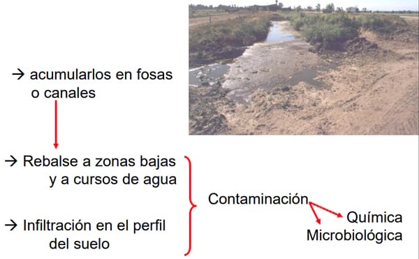 Alternativas en Manejo de Purines y Efluentes en Tambos - Image 4