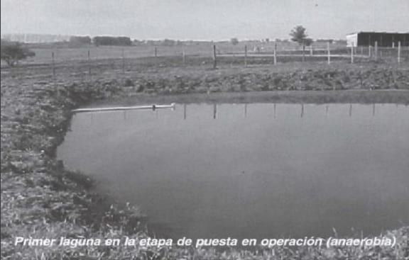 Alternativas en Manejo de Purines y Efluentes en Tambos - Image 5