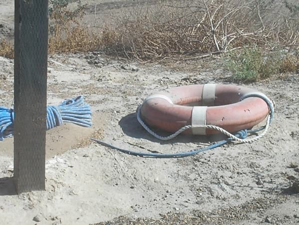 Alternativas en Manejo de Purines y Efluentes en Tambos - Image 12