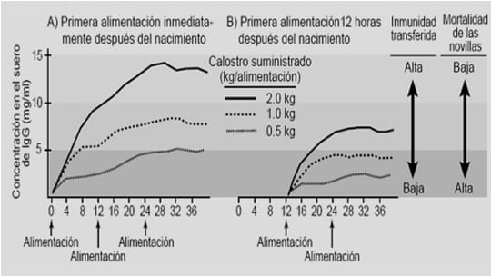 ¿Estamos criando en forma correcta nuestros reemplazos? - Image 1