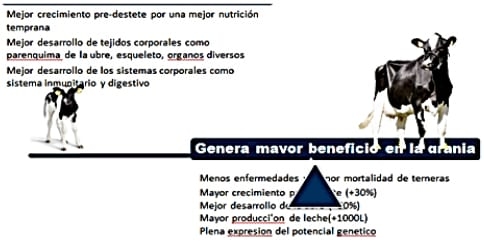 ¿Estamos criando en forma correcta nuestros reemplazos? - Image 3