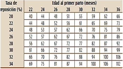 ¿Estamos criando en forma correcta nuestros reemplazos? - Image 2