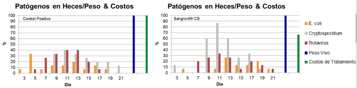 Criptosporidiosis– Impacto y Prevención - Image 2