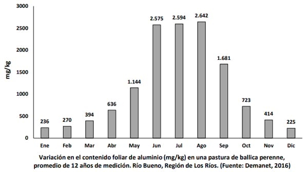 ¿Qué efecto tiene en las pasturas la presencia de Aluminio en el suelo y en la planta? - Image 1