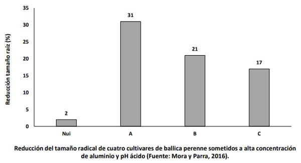 ¿Qué efecto tiene en las pasturas la presencia de Aluminio en el suelo y en la planta? - Image 4