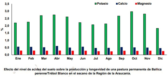 ¿Qué efecto tiene la aplicación de enmiendas calcáreas en pasturas? - Image 8