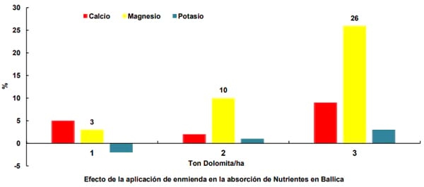 ¿Qué efecto tiene la aplicación de enmiendas calcáreas en pasturas? - Image 3