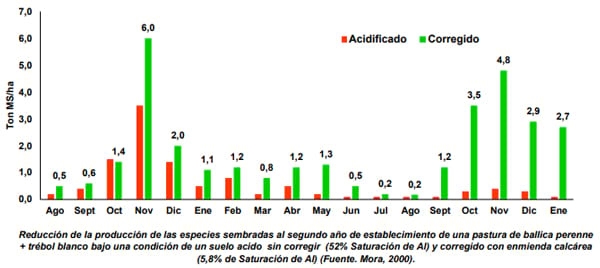 ¿Qué efecto tiene la aplicación de enmiendas calcáreas en pasturas? - Image 7