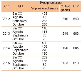 Cultivos de Cobertura – Maíz - Image 1