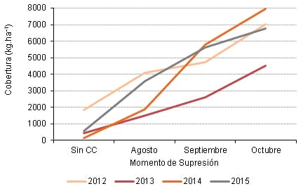 Cultivos de Cobertura – Maíz - Image 2