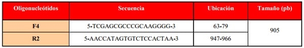 Pesquisa serológica y molecular de Brucella sp. en un rebaño bufalino lechero en la Cuenca del Sur del Lago de Maracaibo - Image 1