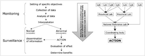 Epidemiologia de las enfermedades transmitidas por los alimentos - Eta(s) - Image 2