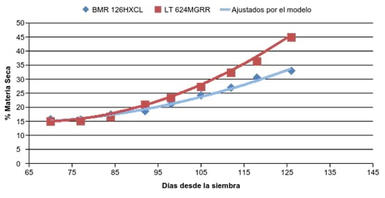 Comparación del maíz granífero en relación al híbrido BMR para ensilaje - Image 4