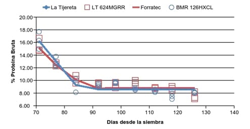 Comparación del maíz granífero en relación al híbrido BMR para ensilaje - Image 7