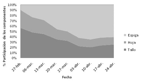 Comparación del maíz granífero en relación al híbrido BMR para ensilaje - Image 5
