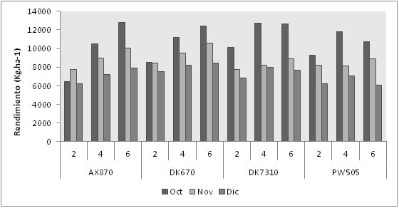 Maíz: fecha de siembra, genotipo y densidad en suelos someros del sur bonaerense - Image 4