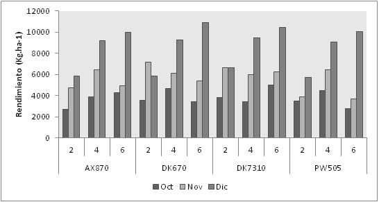 Maíz: fecha de siembra, genotipo y densidad en suelos someros del sur bonaerense - Image 3