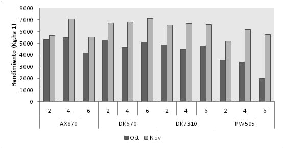 Maíz: fecha de siembra, genotipo y densidad en suelos someros del sur bonaerense - Image 5