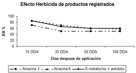 Las ventajas que ofrece el Sorgo y que lo hacen más rentable en rotación. - Image 1