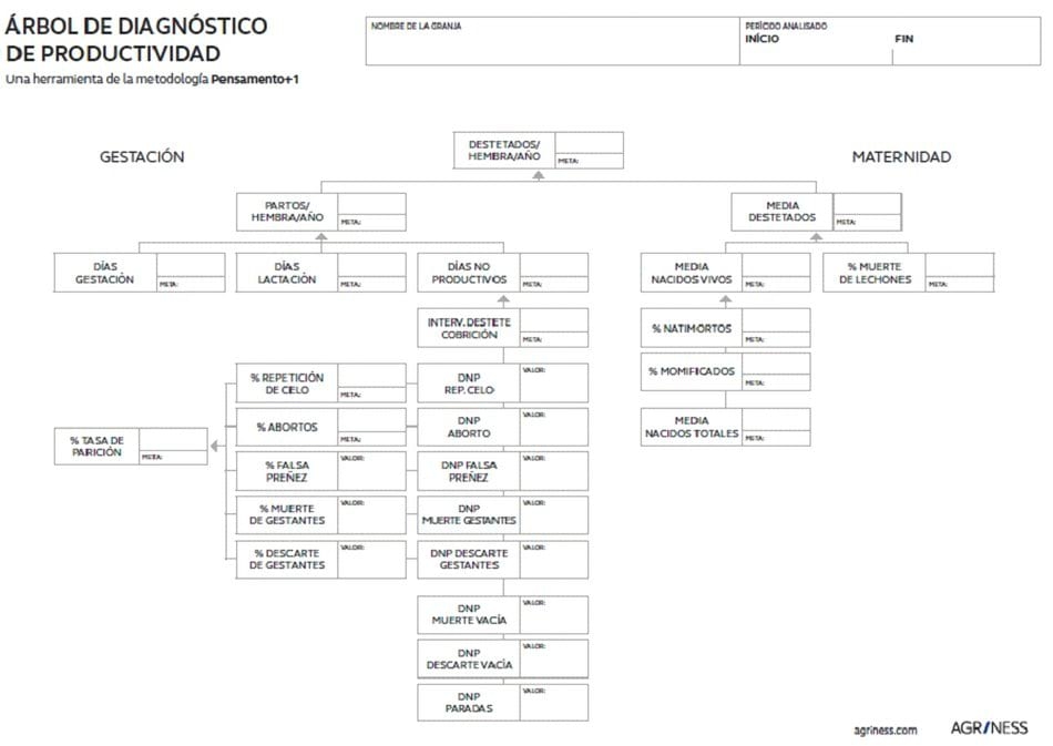 Diagnóstico: ¿Sabría identificar los problemas de productividad de su granja? - Image 1