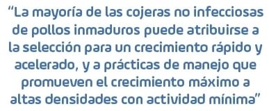 Trastornos del esqueleto que contribuyen a la claudicación en pollos de engorde - Image 3