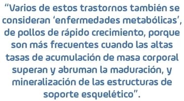 Trastornos del esqueleto que contribuyen a la claudicación en pollos de engorde - Image 4