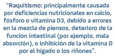 Trastornos del esqueleto que contribuyen a la claudicación en pollos de engorde - Image 5
