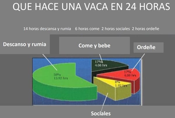 Aumentar los litros de leche en la vida útil de una vaca - Image 3