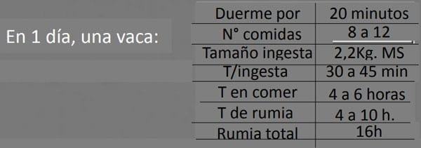 Aumentar los litros de leche en la vida útil de una vaca - Image 4