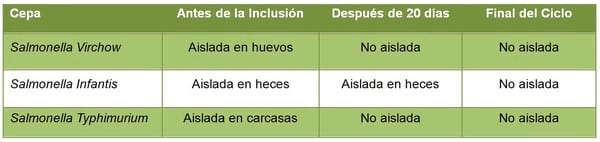  Abordaje de las infecciones por Salmonella en gallinas ponedoras con Silvafeed® Nutri P - Image 2