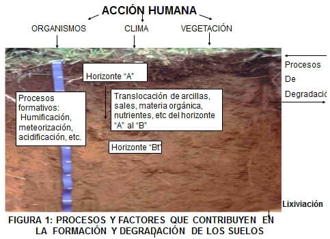 Qué es la degradación del suelo - Image 1