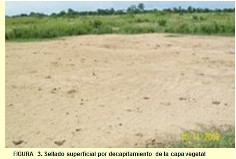 Qué es la degradación del suelo - Image 3