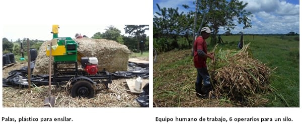 Silo con Formaletas para pequeñas producciones - Image 12